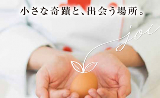 総合カレッジSEO